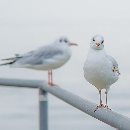 Meerzeit - Maritime Fewo In Timmendorfer Strand Bagian luar foto